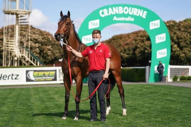 Prowling after winning the Allied Security Super Vobis Three-Years-Old Maiden Plate at Cranbourne Racecourse on September 12, 2021 in Cranbourne,...