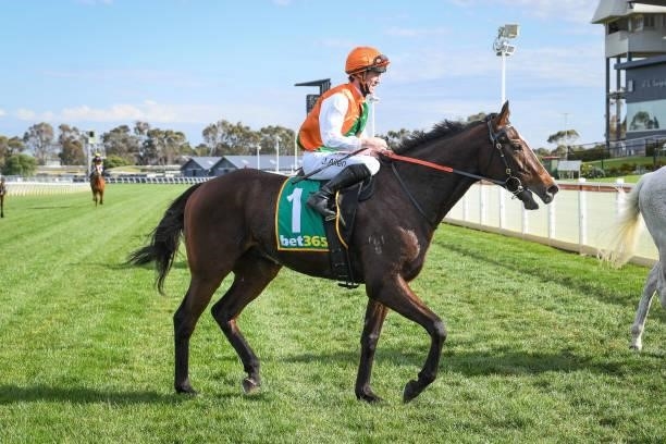 John Allen returns to the mounting yard on National Guard after winning the Newcomb Sand and Soil BM64 Handicap, at Geelong Racecourse on September...
