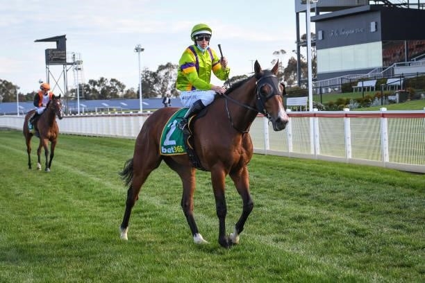 Damian Lane returns to the mounting yard on Steel Skies after winning the Rex Gorell BM64 Handicap, at Geelong Racecourse on September 17, 2021 in...