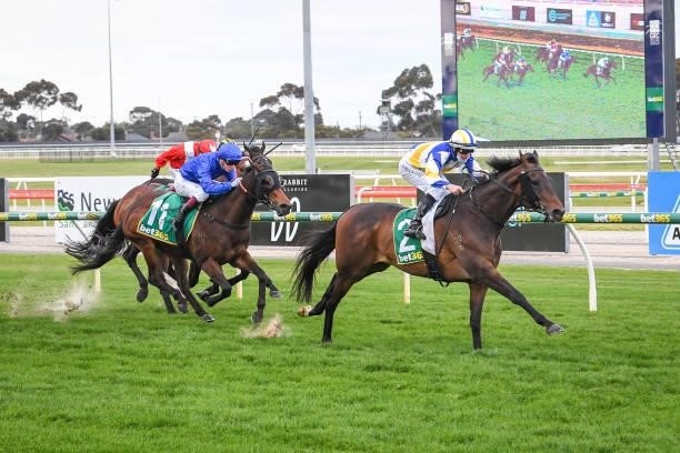 Influential Jack ridden by Damian Lane wins the Ritchie Bros. Auctioneers BM64 Handicap at Geelong Racecourse on September 17, 2021 in Geelong,...