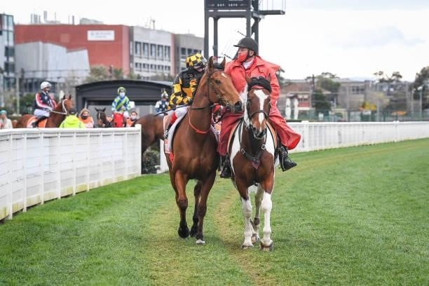 Behemoth ridden by Craig Williams heads to the barriers before the Neds Sir Rupert Clarke Stakes at Caulfield Racecourse on September 18, 2021 in...