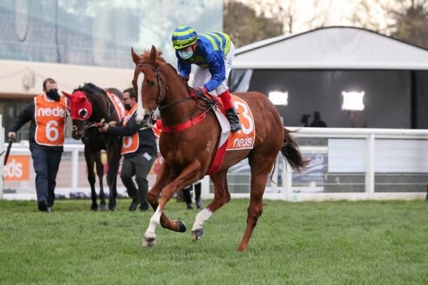 Amish Boy ridden by Dean Yendall on the way to the barriers prior to the running of the Neds Sir Rupert Clarke Stakes at Caulfield Racecourse on...