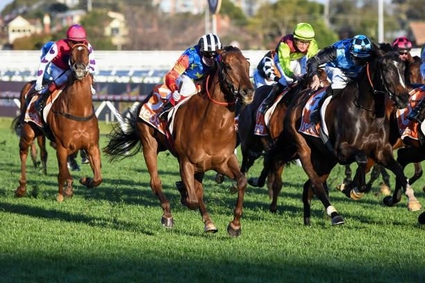 Bella Nipotina ridden by Craig Williams wins the Neds How Now Stakes at Caulfield Racecourse on September 18, 2021 in Caulfield, Australia.