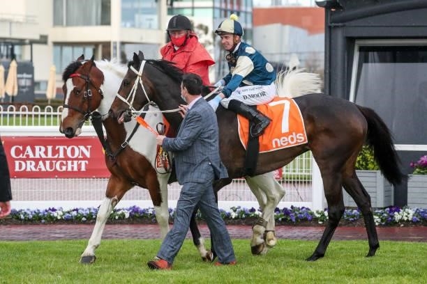 Sierra Sue ridden by Daniel Moor returns to the mounting yard after winning the Neds Sir Rupert Clarke Stakes at Caulfield Racecourse on September...
