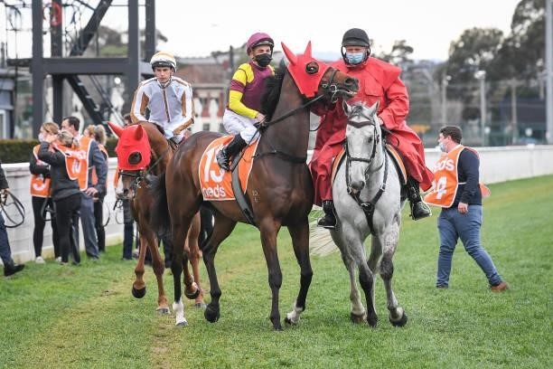 Regardsmaree ridden by Dean Holland heads to the barriers before the Neds Sir Rupert Clarke Stakes at Caulfield Racecourse on September 18, 2021 in...