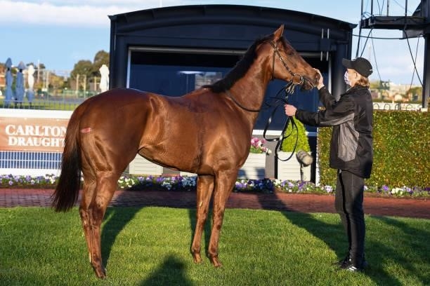 Bella Nipotina after winning the Neds How Now Stakes at Caulfield Racecourse on September 18, 2021 in Caulfield, Australia.