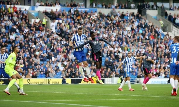 Wilfred Ndidi of Leicester City in action with Shane Duffy of Brighton & Hove Albion during the Premier League match between Brighton & Hove Albion...