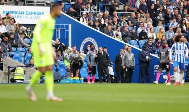 Leicester City Manager Brendan Rodgers prepares to bring on Kelechi Iheanacho of Leicester City during the Premier League match between Brighton &...