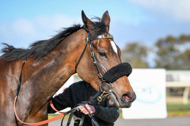 Puckapunyal after winning the Cabinets & Stone BM64 Handicap at Horsham Racecourse on September 20, 2021 in Horsham, Australia.