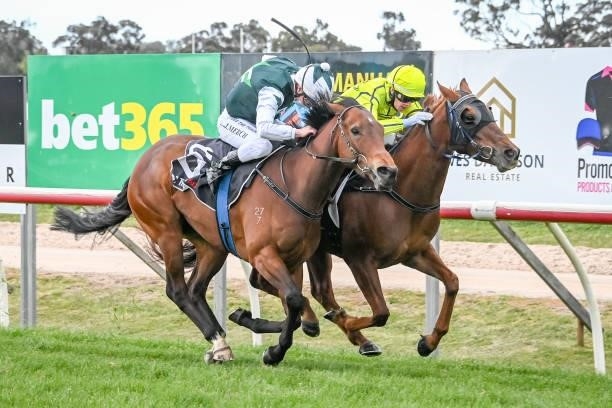 Madam Mischief ridden by Mikaela Lawrence wins the Millers Horsham Cup Sunday 17 Sunday 2021 BM58 Hcp at Horsham Racecourse on September 20, 2021 in...