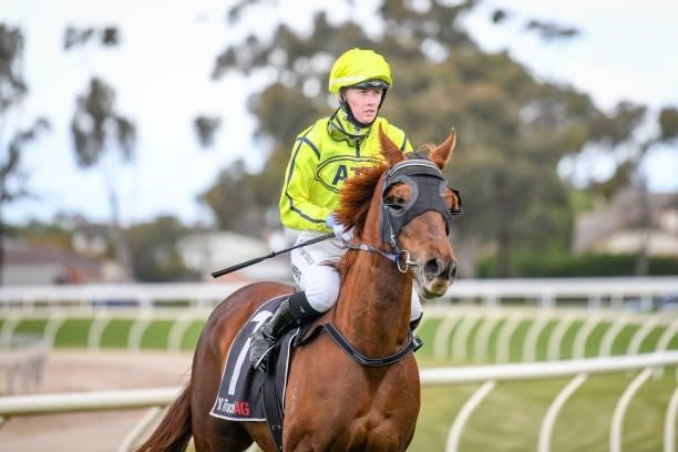 Madam Mischief ridden by Mikaela Lawrence returns to scale after winning the Millers Horsham Cup Sunday 17 Sunday 2021 BM58 Hcp at Horsham Racecourse...
