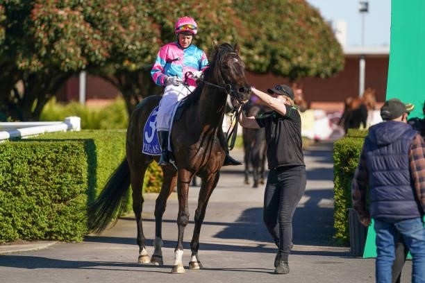 Brawl ridden by Brett Prebble returns to the mounting yard after winning the Hygain Class 1 Handicap at Cranbourne Racecourse on September 23, 2021...
