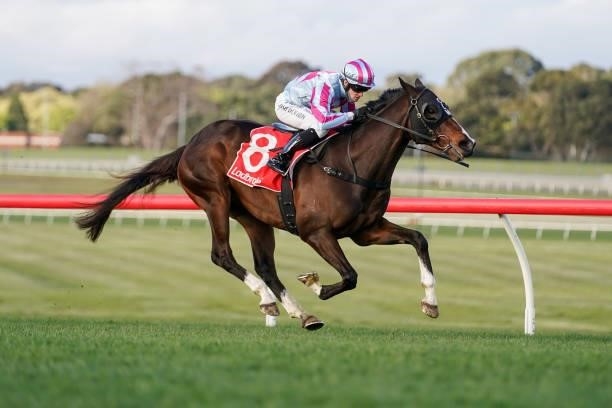 Thought Of That ridden by Josh Richards wins the Evergreen Turf Handicap at Ladbrokes Park Hillside Racecourse on September 25, 2021 in Springvale,...