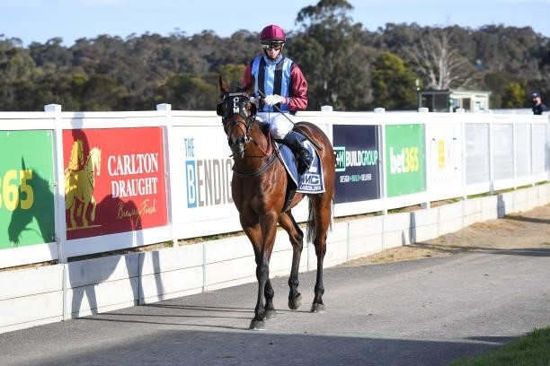 Strategist ridden by Michael Dee returns to the mounting yard after winning the bet365 Odds Drift Protector C, G & E BM58 Hcp at Kilmore Racecourse...