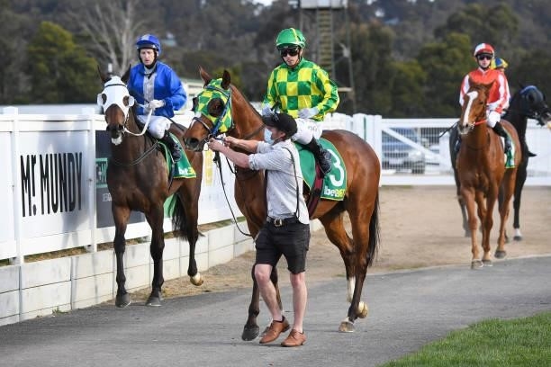 Marketing ridden by Lachlan King returns to the mounting yard after winning the MC Labour BM64 Handicap at Kilmore Racecourse on September 28, 2021...
