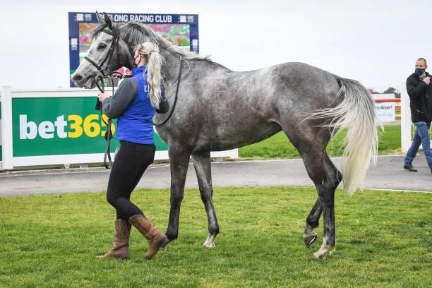 Grey Khan after winning the APCO Service Stations BM64 Handicap, at Geelong Racecourse on September 29, 2021 in Geelong, Australia.