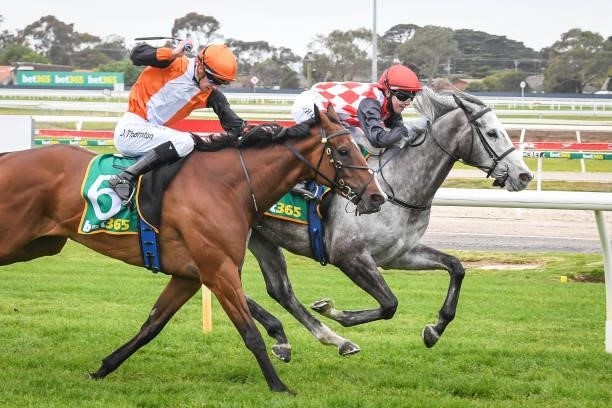 Grey Khan ridden by Tianni Chapman wins the APCO Service Stations BM64 Handicap at Geelong Racecourse on September 29, 2021 in Geelong, Australia.