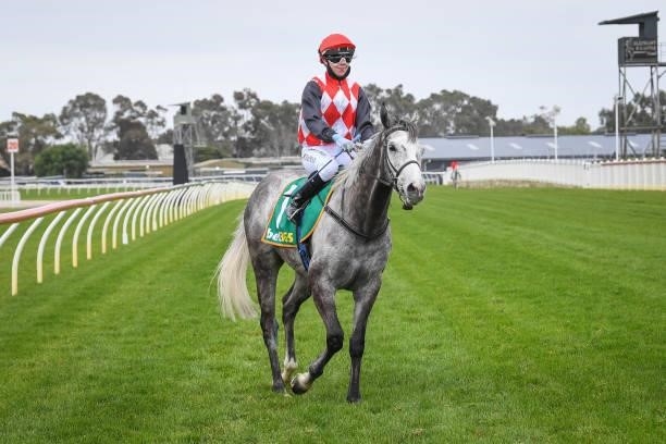 Tianni Chapman returns to the mounting yard on Grey Khan after winning the APCO Service Stations BM64 Handicap, at Geelong Racecourse on September...