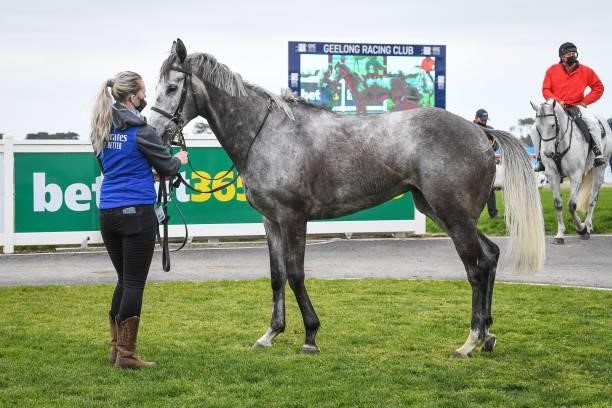 Grey Khan after winning the APCO Service Stations BM64 Handicap, at Geelong Racecourse on September 29, 2021 in Geelong, Australia.