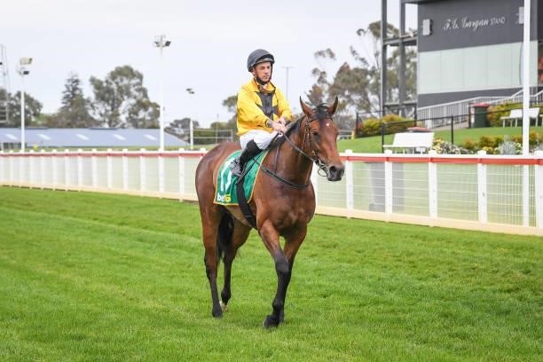 Dean Holland returns to the mounting yard on Star Of Chaos after winning the DMB Contracting Class 1 Handicap, at Geelong Racecourse on September 29,...