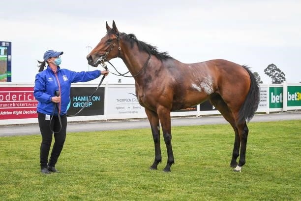 Star Of Chaos after winning the DMB Contracting Class 1 Handicap, at Geelong Racecourse on September 29, 2021 in Geelong, Australia.