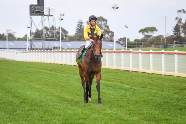 Dean Holland returns to the mounting yard on Star Of Chaos after winning the DMB Contracting Class 1 Handicap, at Geelong Racecourse on September 29,...