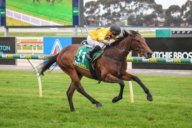 Star Of Chaos ridden by Dean Holland wins the DMB Contracting Class 1 Handicap at Geelong Racecourse on September 29, 2021 in Geelong, Australia.