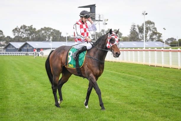 Jordan Childs returns to the mounting yard on Narvaez after winning the JT Dixon BM64 Handicap, at Geelong Racecourse on September 29, 2021 in...
