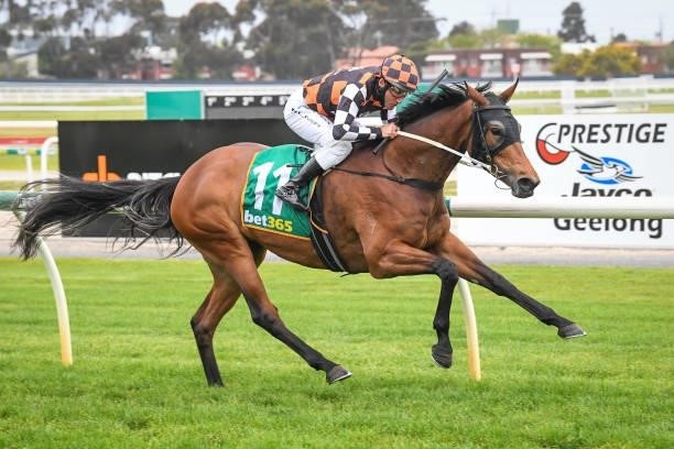 Maid Of Iron ridden by Damien Oliver wins the Prestige Jayco BM64 Handicap at Geelong Racecourse on September 29, 2021 in Geelong, Australia.