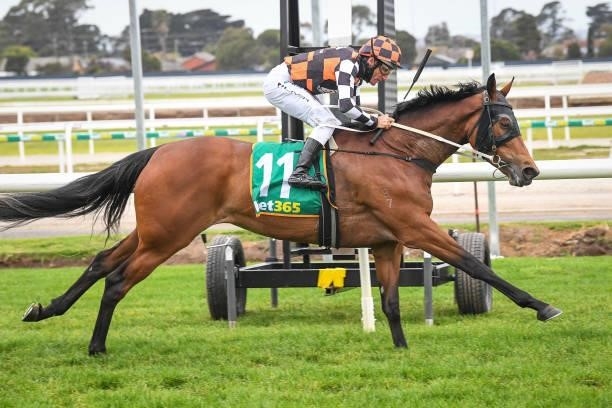 Maid Of Iron ridden by Damien Oliver wins the Prestige Jayco BM64 Handicap at Geelong Racecourse on September 29, 2021 in Geelong, Australia.