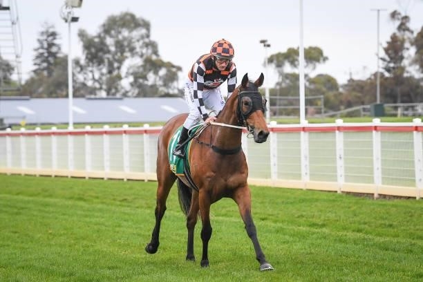 Damien Oliver returns to the mounting yard on Maid Of Iron after winning the Prestige Jayco BM64 Handicap, at Geelong Racecourse on September 29,...