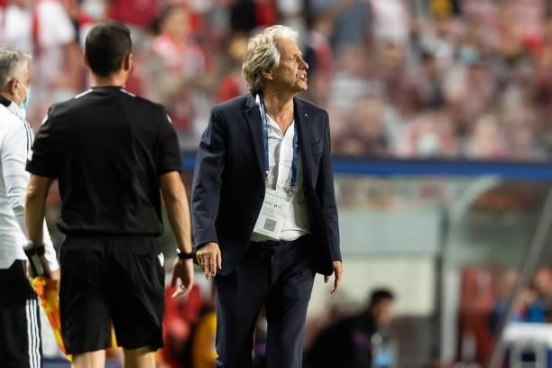Head coach Jorge Jesus of SL Benfica looks on during the UEFA Champions League group E match between SL Benfica and FC Barcelona at Estadio da Luz on...