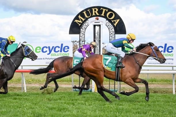 Hostar ridden by Michael Poy wins the Ecycle Solutions Murtoa Cup at Murtoa Racecourse on October 02, 2021 in Murtoa, Australia.
