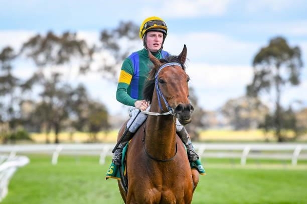 Hostar ridden by Michael Poy returns to scale after winning the Ecycle Solutions Murtoa Cup at Murtoa Racecourse on October 02, 2021 in Murtoa,...