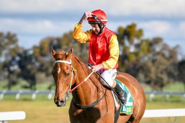 Prize Lad ridden by Craig Robertson returns to scale after winning the Scott Smith Landscaping 0 - 58 Handicap at Murtoa Racecourse on October 02,...