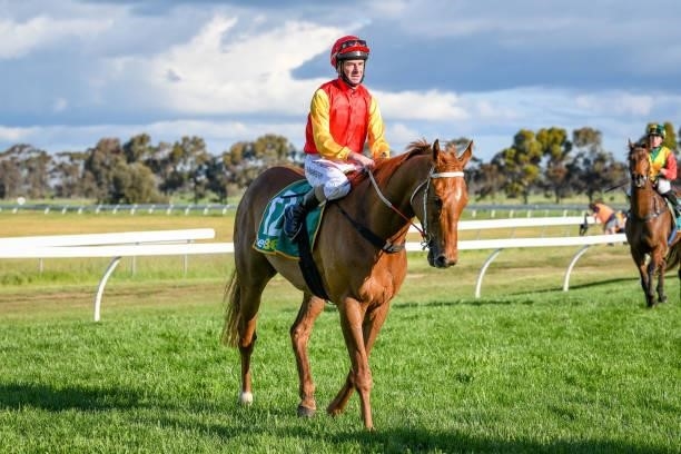 Prize Lad ridden by Craig Robertson returns to scale after winning the Scott Smith Landscaping 0 - 58 Handicap at Murtoa Racecourse on October 02,...