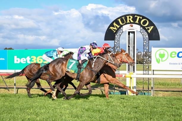 Prize Lad ridden by Craig Robertson wins the Scott Smith Landscaping 0 - 58 Handicap at Murtoa Racecourse on October 02, 2021 in Murtoa, Australia.