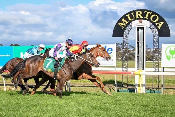 Prize Lad ridden by Craig Robertson wins the Scott Smith Landscaping 0 - 58 Handicap at Murtoa Racecourse on October 02, 2021 in Murtoa, Australia.