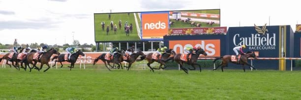 Delphi ridden by Damien Oliver wins the Neds Herbert Power Stakes at Caulfield Racecourse on October 09, 2021 in Caulfield, Australia.