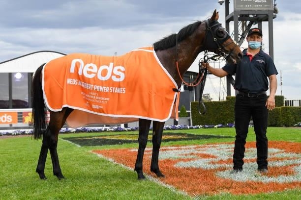 Delphi after winning the Neds Herbert Power Stakes at Caulfield Racecourse on October 09, 2021 in Caulfield, Australia.