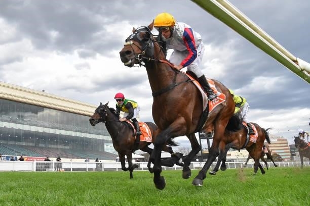 Delphi ridden by Damien Oliver wins the Neds Herbert Power Stakes at Caulfield Racecourse on October 09, 2021 in Caulfield, Australia.
