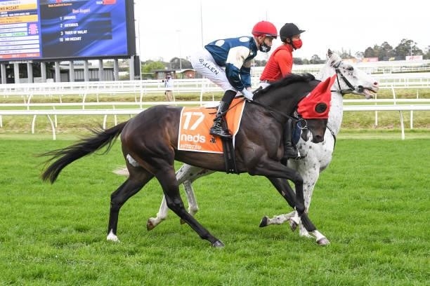 Hitotsu ridden by Ben Allen on the way to the barriers prior to the running of the Neds Caulfield Guineas at Caulfield Racecourse on October 09, 2021...