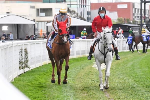 Dice Roll ridden by Fred Kersley on the way to the barriers prior to the running of the Hyland Race Colours Toorak Handicap at Caulfield Racecourse...