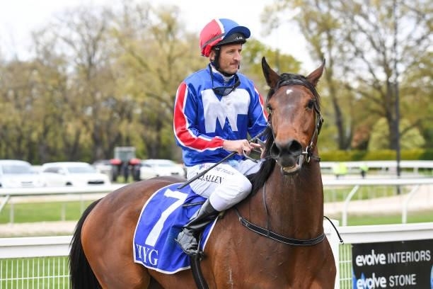 Trinity's Reward ridden by Matthew Allen returns to the mounting yard after winning the Sign Obsession BM58 Handicap at Kyneton Racecourse on October...