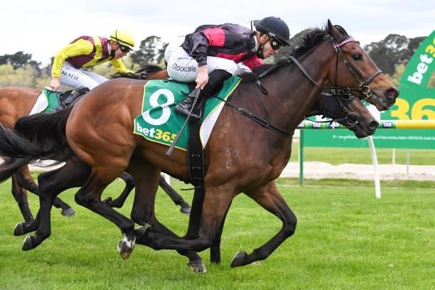 Crafty Effort ridden by Thomas Stockdale wins the RMBL Investments Rising Stars C,G&E BM58 Handicap at Kyneton Racecourse on October 12, 2021 in...
