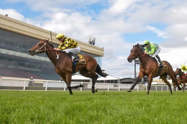 Yearning ridden by Damien Thornton wins the Schweppes Thousand Guineas at Caulfield Racecourse on October 13, 2021 in Caulfield, Australia.