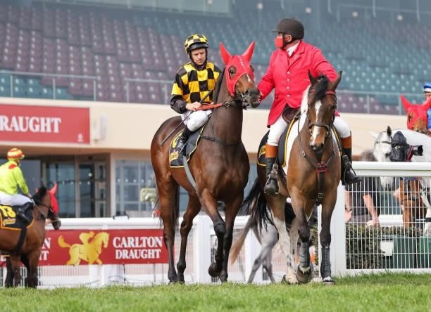 Zouzarella ridden by Brett Prebble on the way to the barriers prior to the running of the Schweppes Thousand Guineas at Caulfield Racecourse on...
