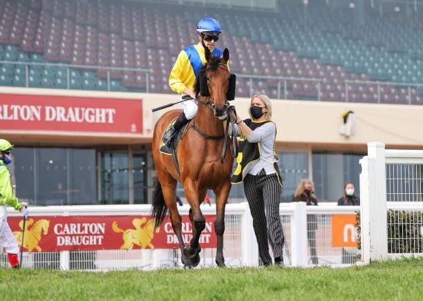 Queen Of Dubai ridden by Jordan Childs on the way to the barriers prior to the running of the Schweppes Thousand Guineas at Caulfield Racecourse on...