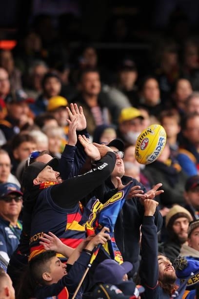 Fans compete for the ball as its kicked into the crowd during the round 12 AFL match between the Adelaide Crows and the Collingwood Magpies at...