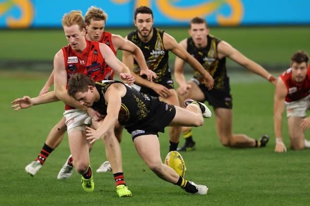 Aaron Francis of the Bombers and Riley Collier-Dawkins of the Tigers contest for the ball during the round 12 AFL match between the Essendon Bombers...